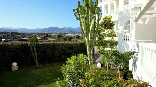 Appartement Starnerja En Stella Maris